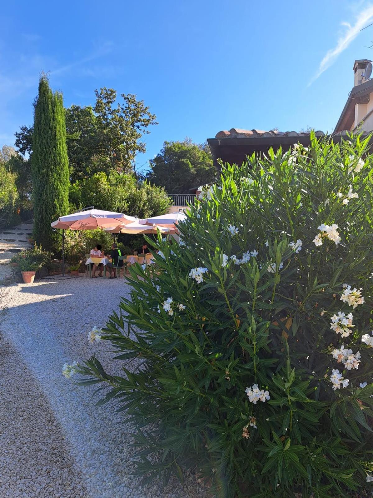 مبيت وإفطار ساتورنيا Casale Terre Rosse المظهر الخارجي الصورة