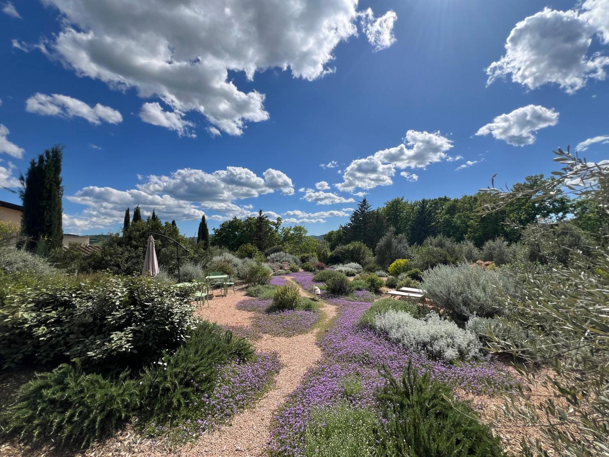 مبيت وإفطار ساتورنيا Casale Terre Rosse المظهر الخارجي الصورة